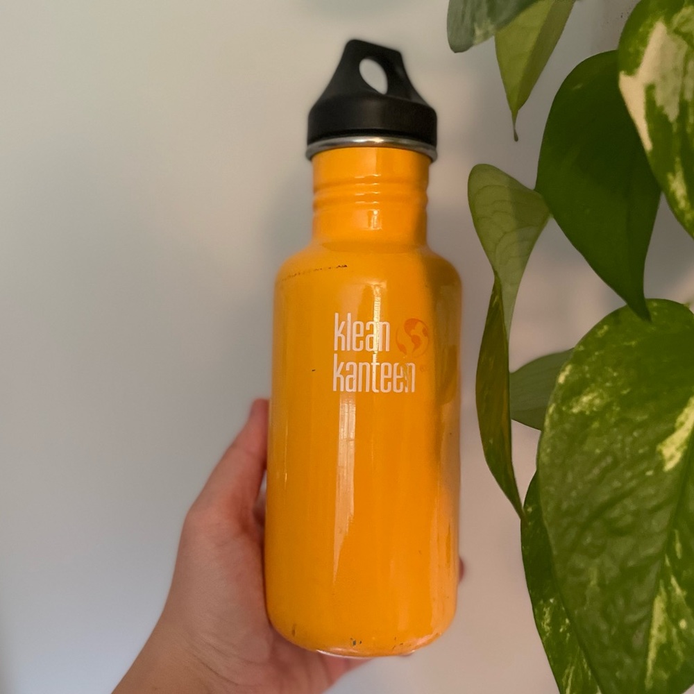 Klean Kanteen stainless steel water bottle with screw top lid, 18Oz / 532 ML